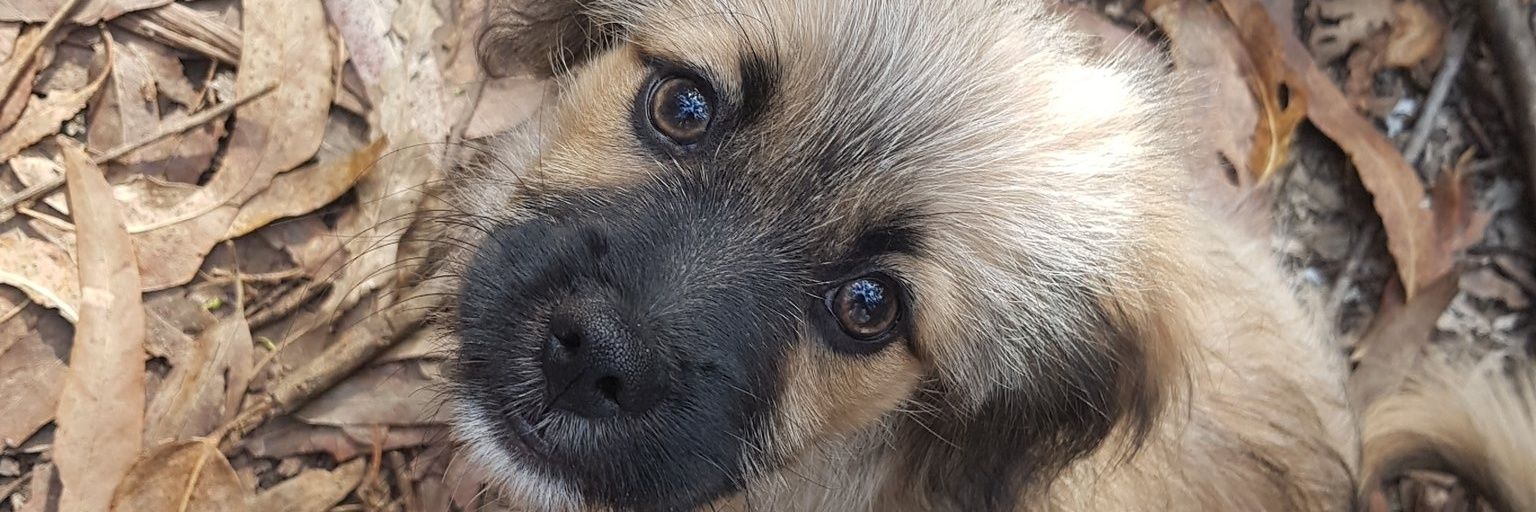 Nerefm_'s profile banner image