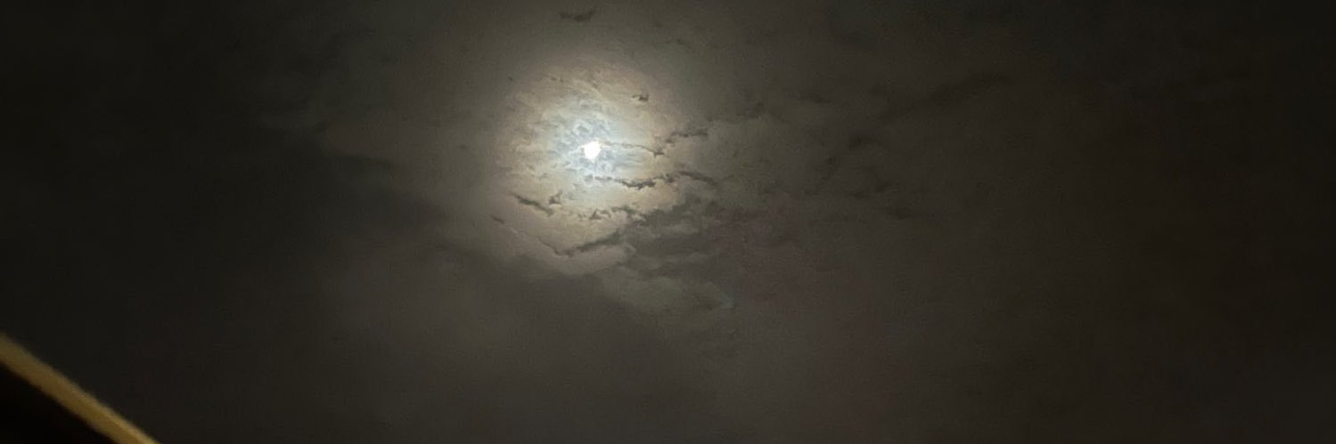 niiillx's profile banner image