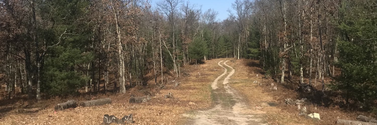 chasing chrome banner