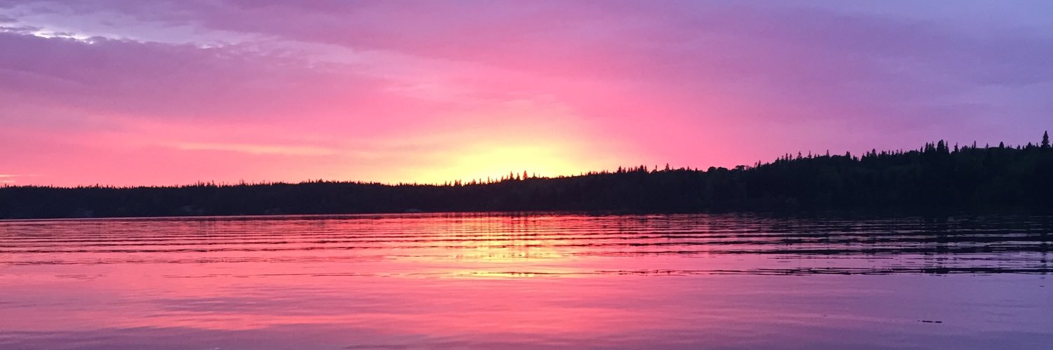 daveheyl's profile banner image