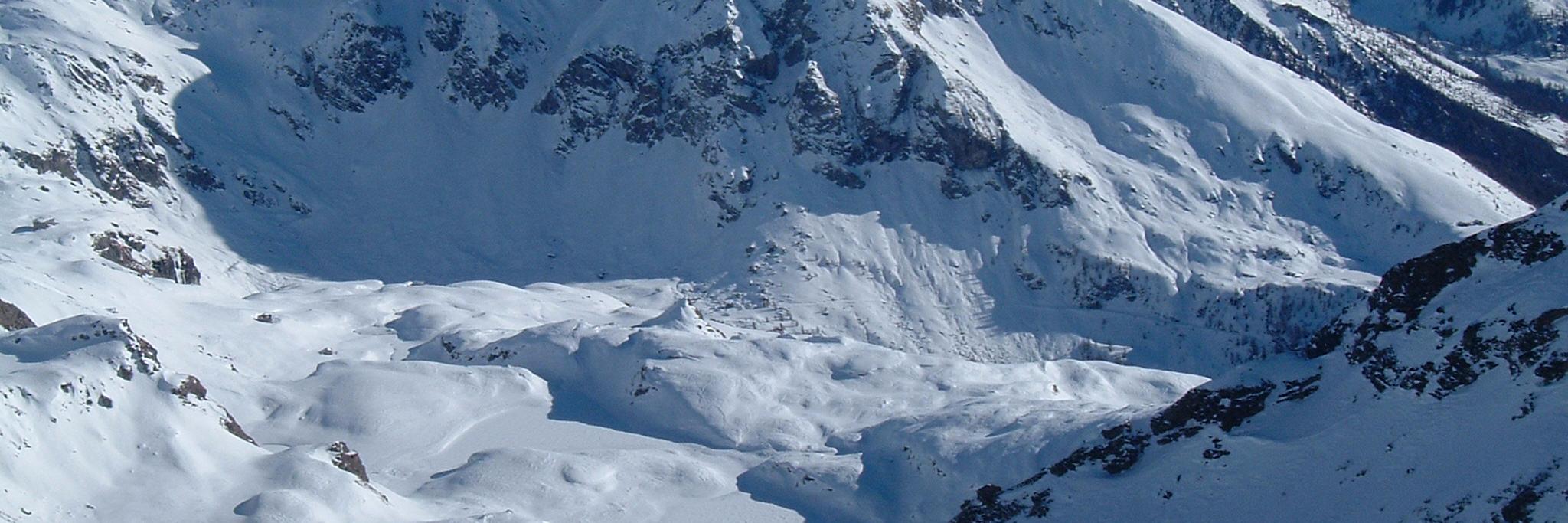 Enrico Colombatto banner