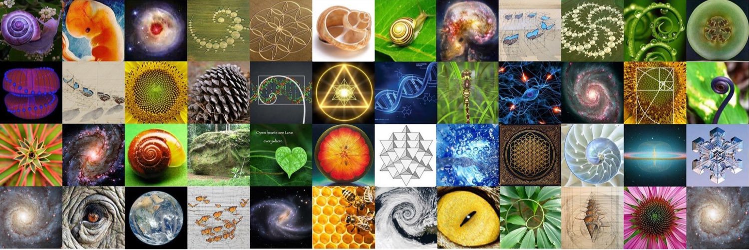 bitofpotential's profile banner image