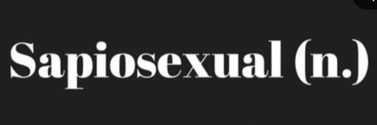 sofia nasrollahi banner