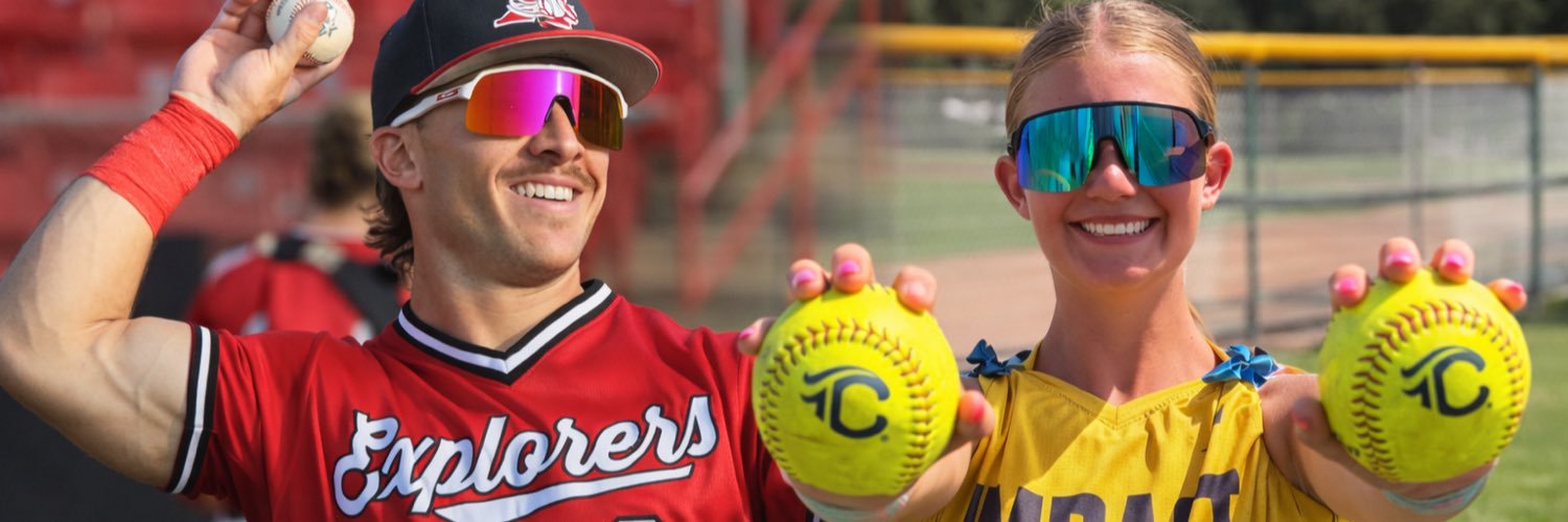 Dan Vooletich banner