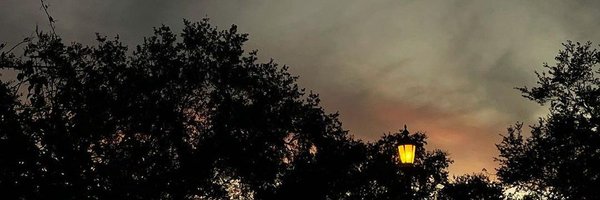 shekhawat1922 Profile Banner