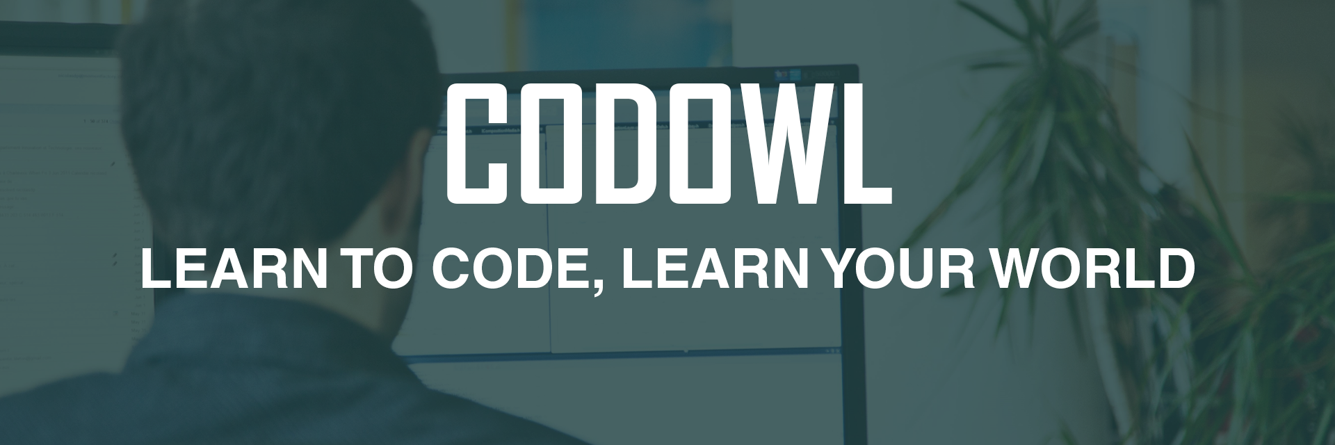codowl's profile banner image