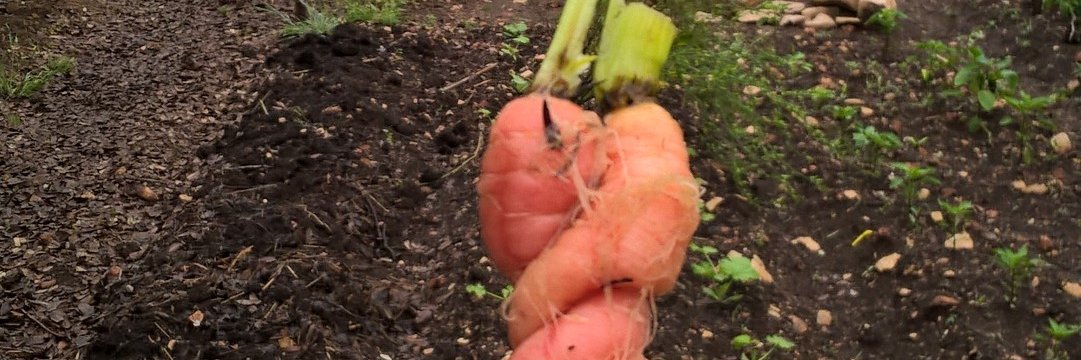 Taylor Bennett banner