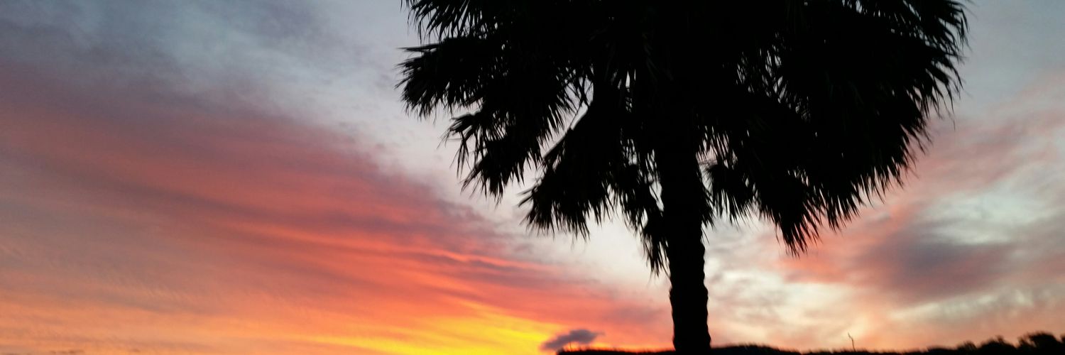 gillisbrown's profile banner image
