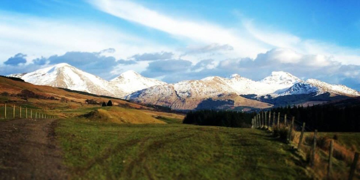 lj_cook's profile banner image