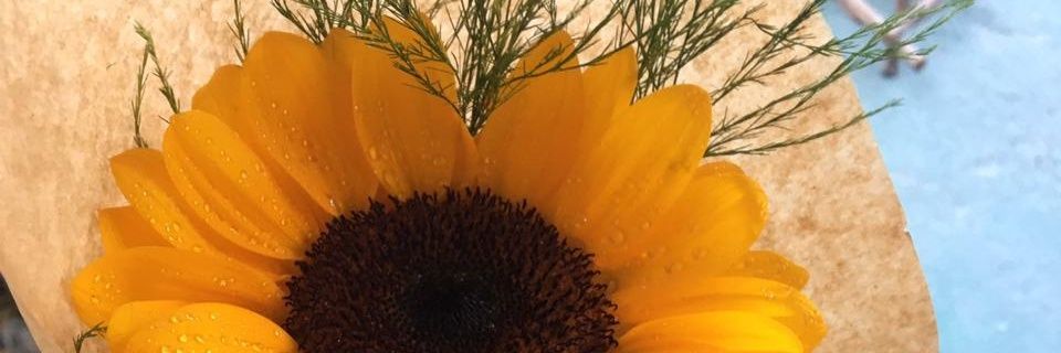 laarymiiranda's profile banner image