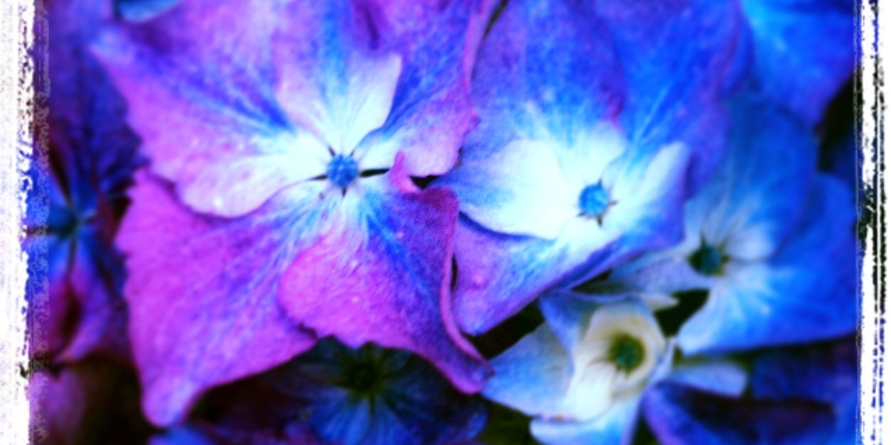 EmiliaMascalchi's profile banner image