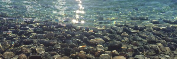 GEMESA1 Profile Banner