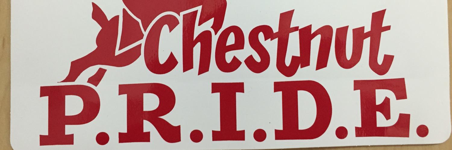 MrD_Chestnut3's profile banner image