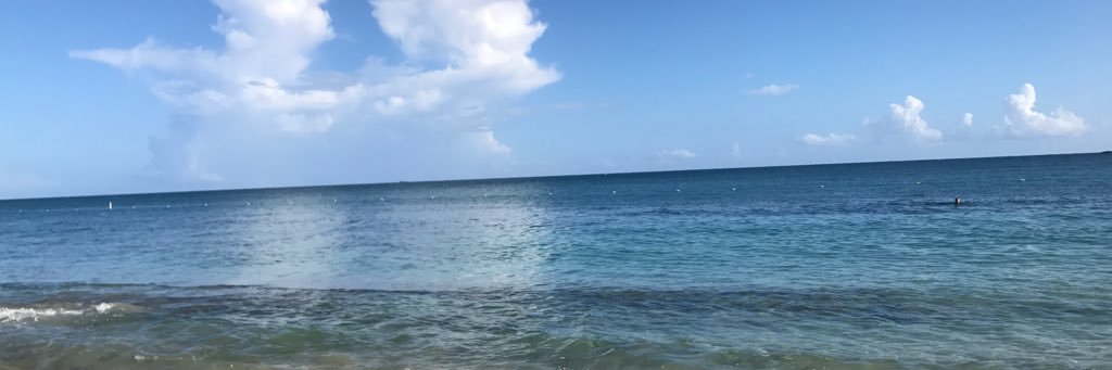 negrol's profile banner image