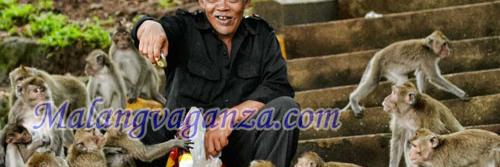 malangvaganza's profile banner image