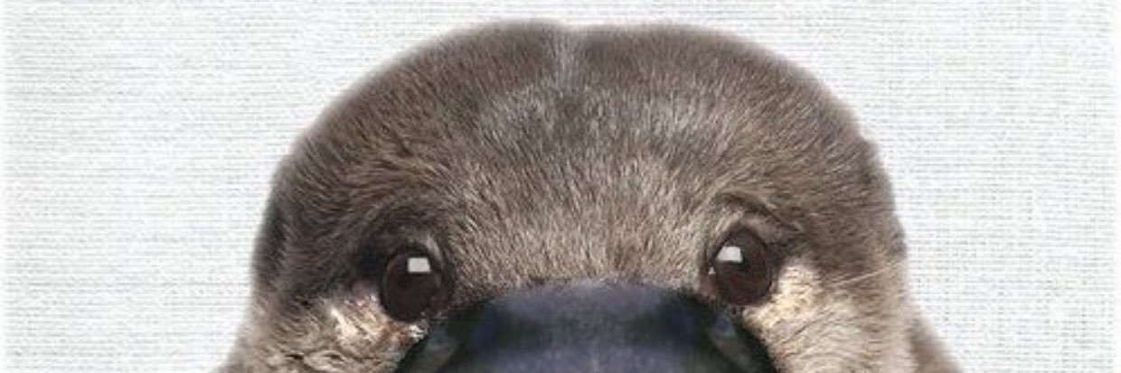 Reeeeeeei_0's profile banner image