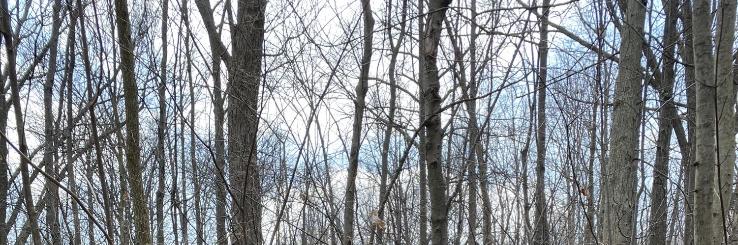 jackie daytona banner