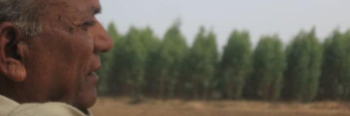 ImDVjP's profile banner image