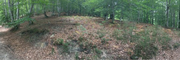 NinfaLoViN Profile Banner