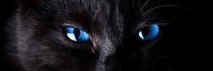 Сань, не мороси banner