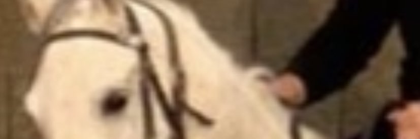 TENTACIONS17's profile banner image