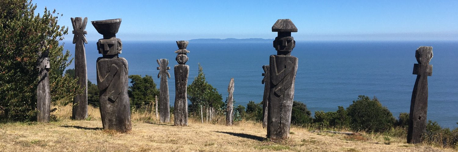 Tulia Falleti banner