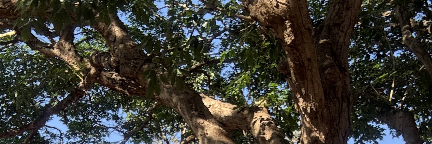 micdasx's profile banner image