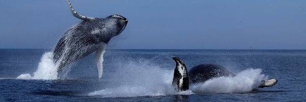 obrienstours Profile Banner