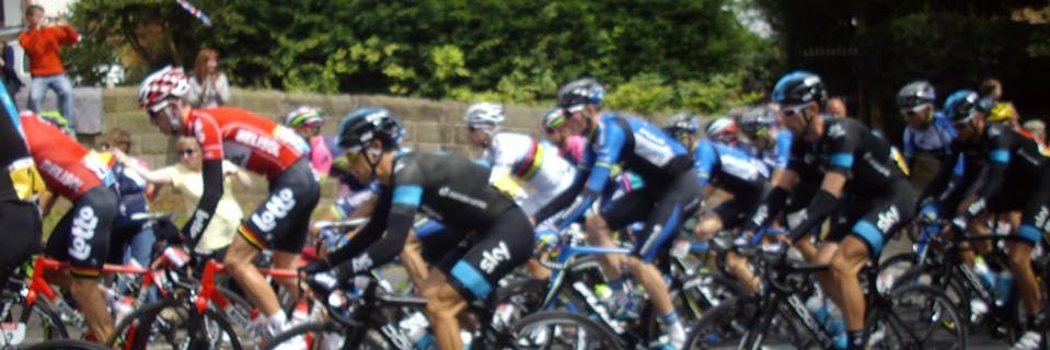 Sarah💙💚 banner