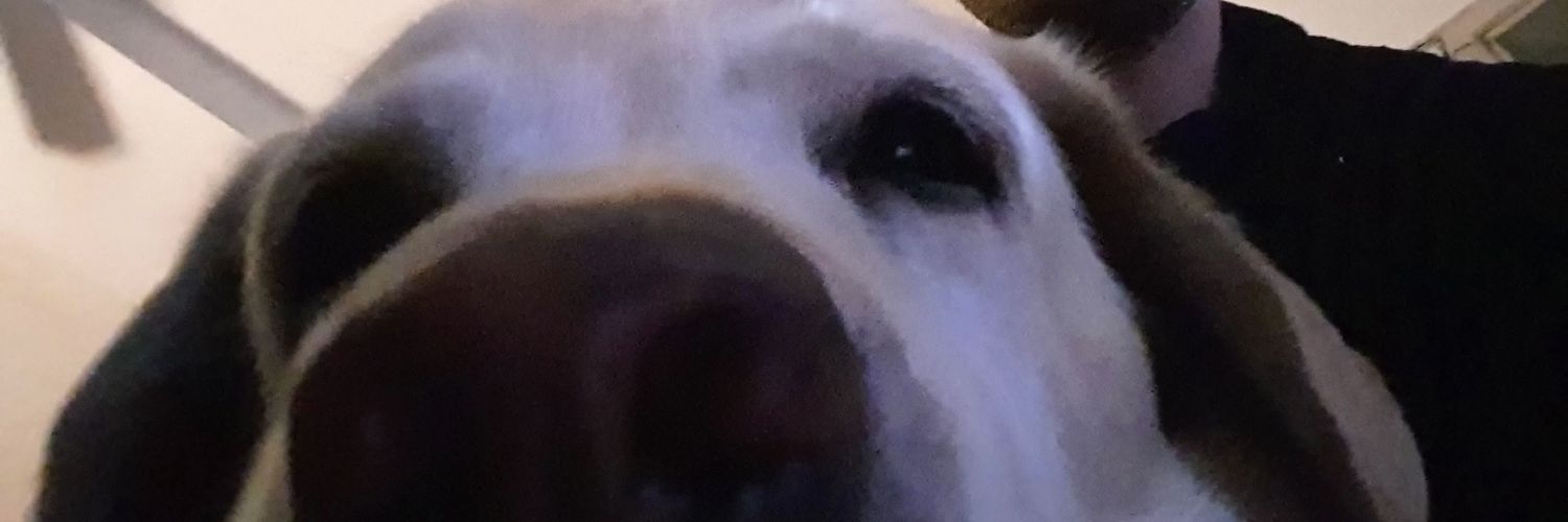 chLassen's profile banner image