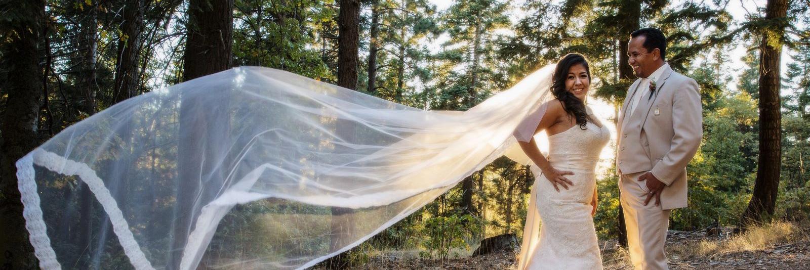 PineRoseWedding's profile banner image