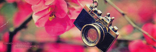 LisaVaniaa's profile banner image