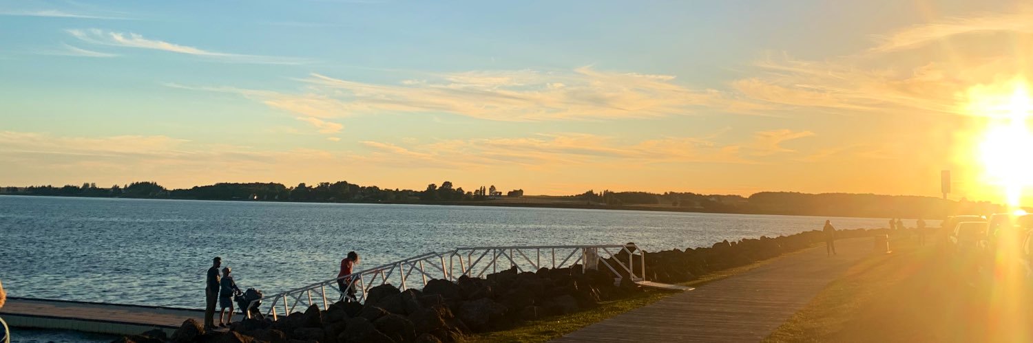 RachelTHoughton's profile banner image