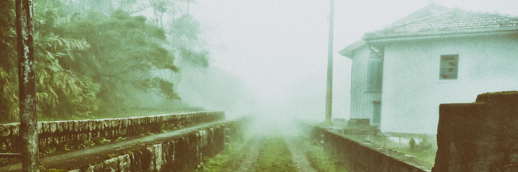 Dreams of Ruin banner