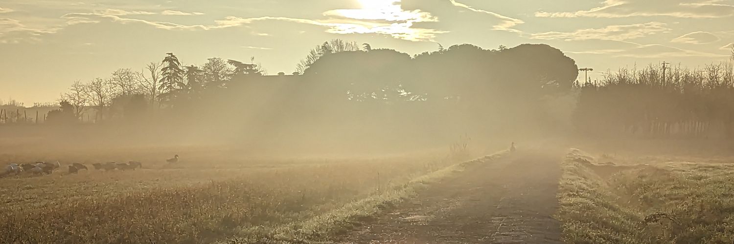 zansystem's profile banner image