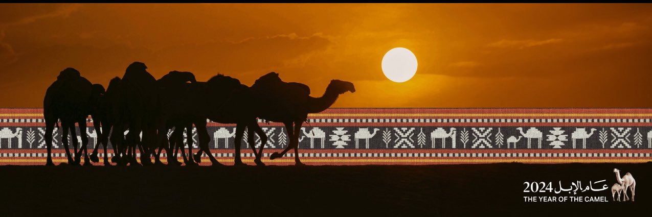 سمها سعيدالغامدي banner