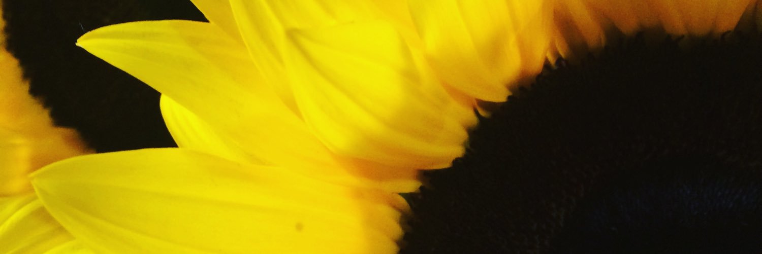 Evaa_O's profile banner image