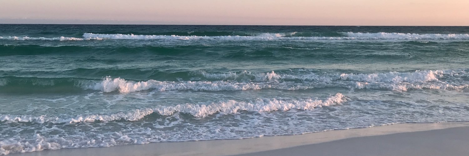 stagpatt's profile banner image