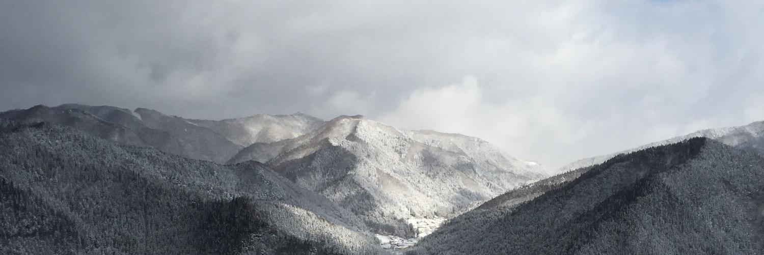 tljmtpj's profile banner image