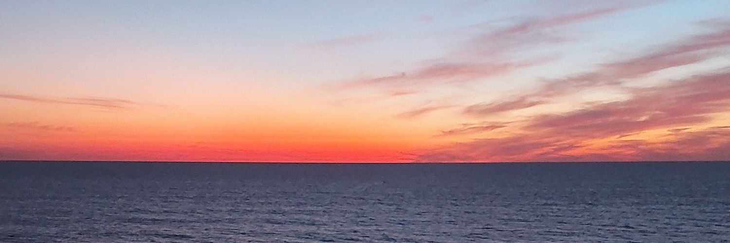 George Von Doom banner