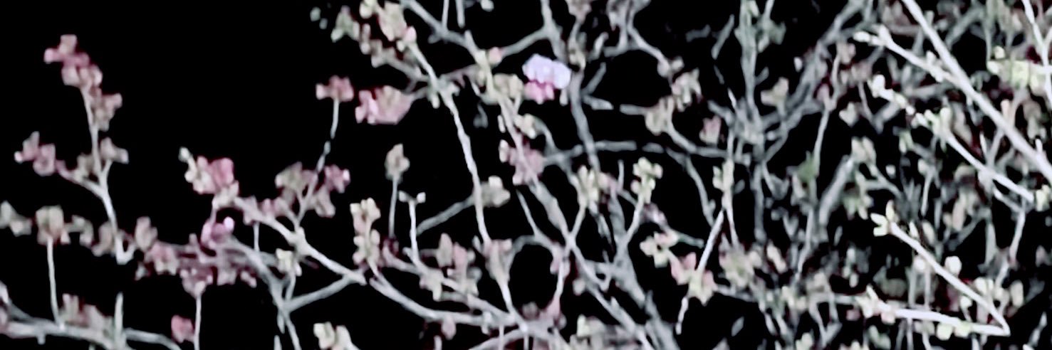 ksebv0708's profile banner image