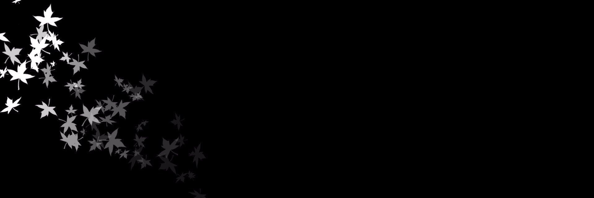 t__5's profile banner image