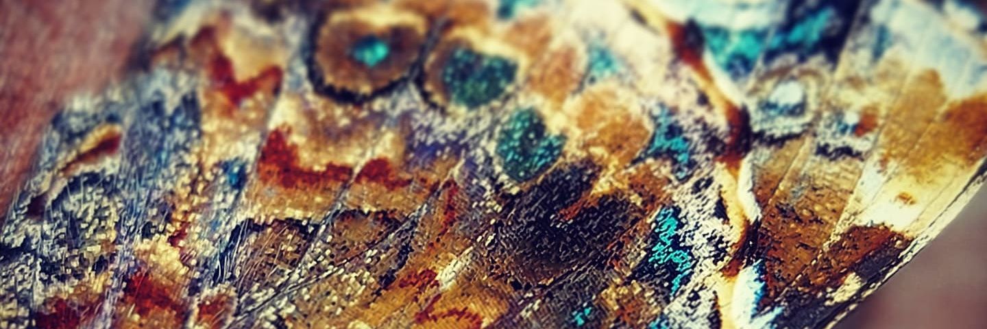 sortakindalove's profile banner image