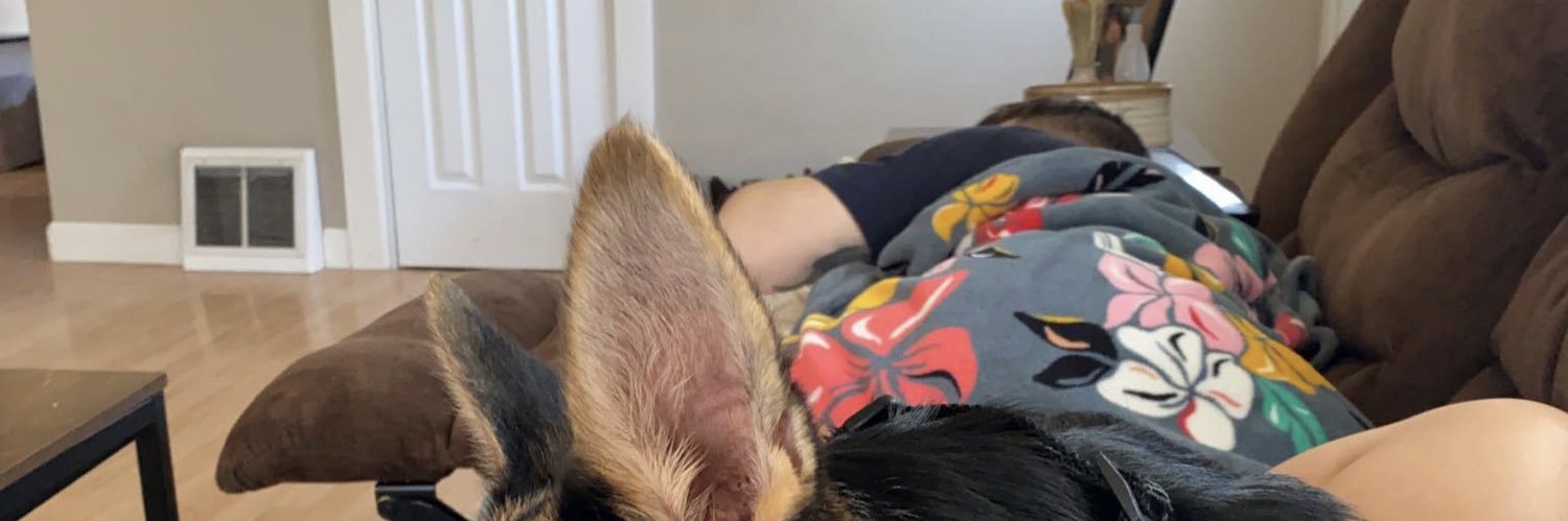 Ryleighjo8's profile banner image