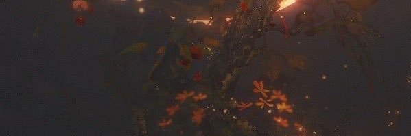 zeezo_sweet's profile banner image