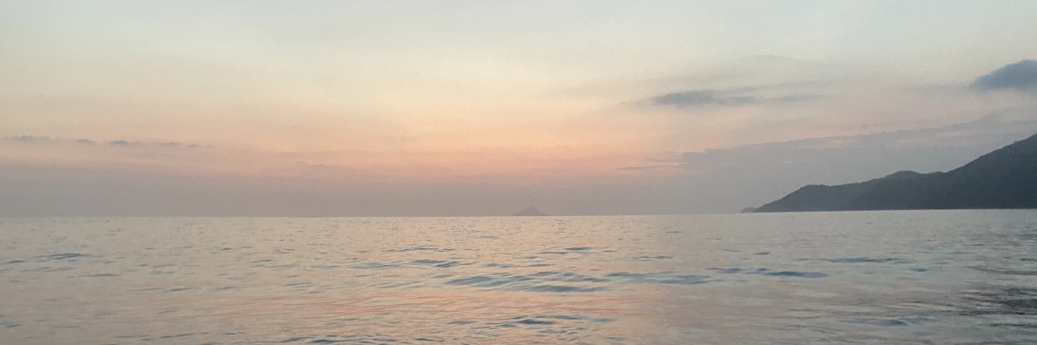 dudamazzone's profile banner image