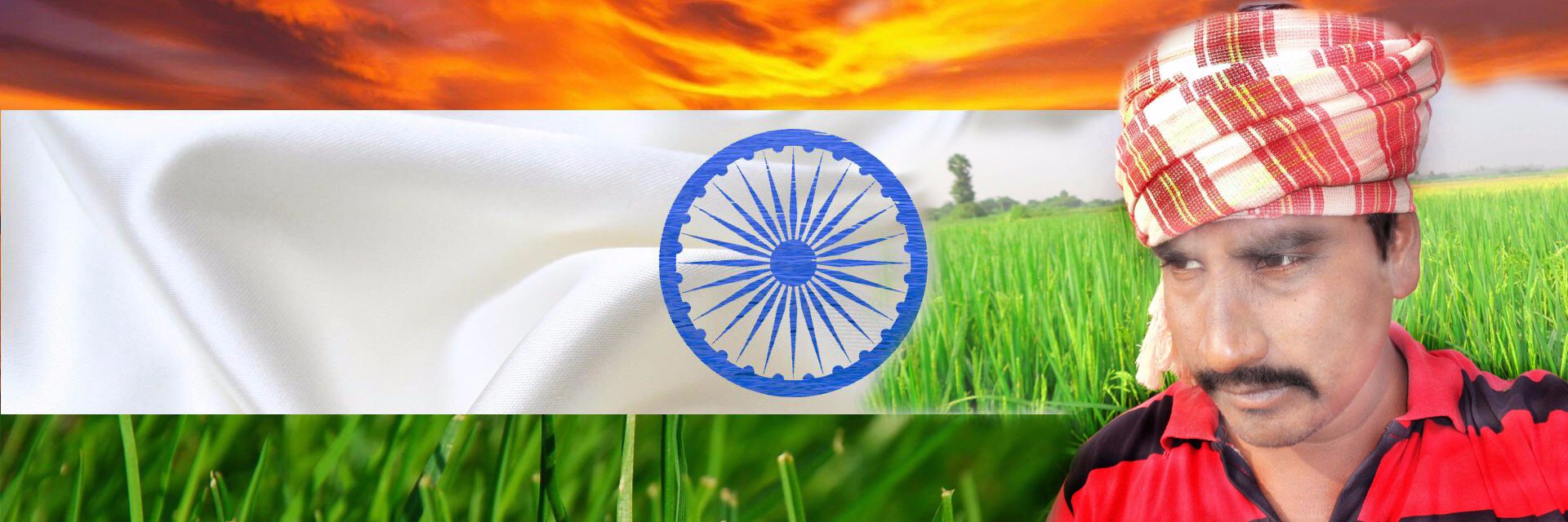 bollaeswarao's profile banner image