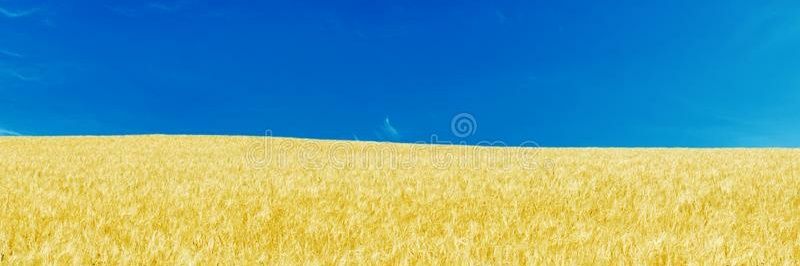 День хрумкого огірочка 🇺🇦🏴 banner