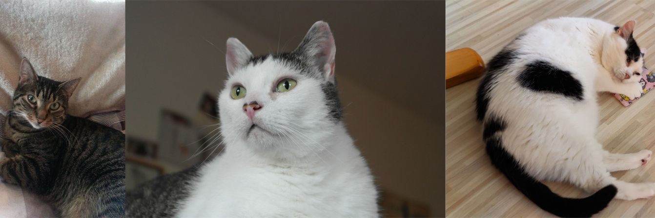 KlokeA's profile banner image