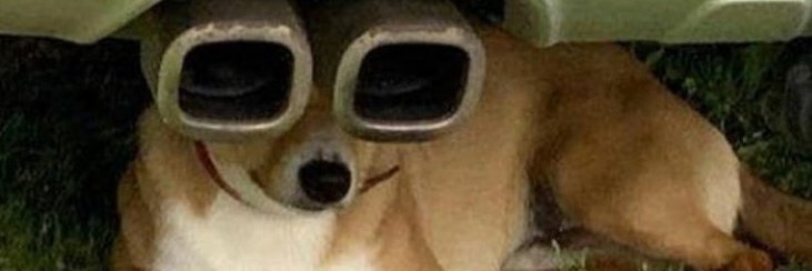 genericname79's profile banner image